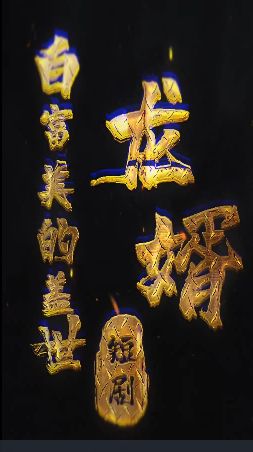 电影：白富美的盖世龙婿