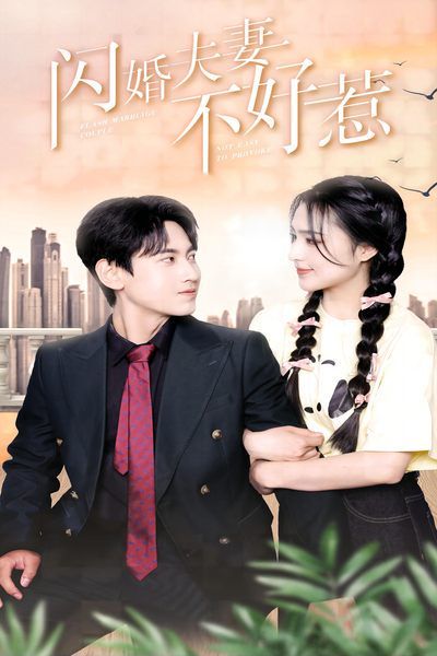 电影：闪婚夫妻不好惹