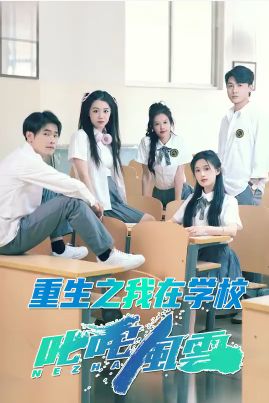 电影：重生之我在学校叱咤风云