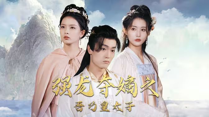 电影：强龙夺嫡之吾乃皇太子