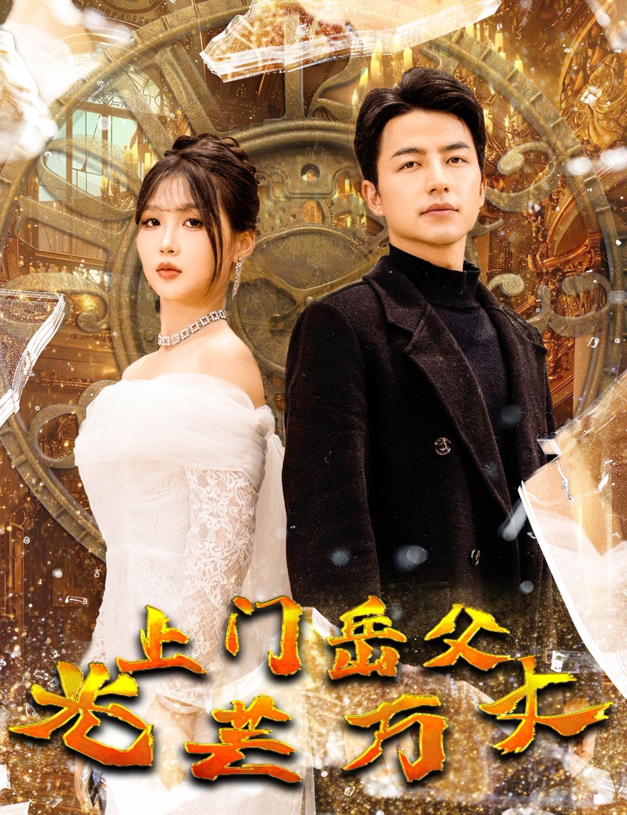 电影：上门岳父光芒万丈