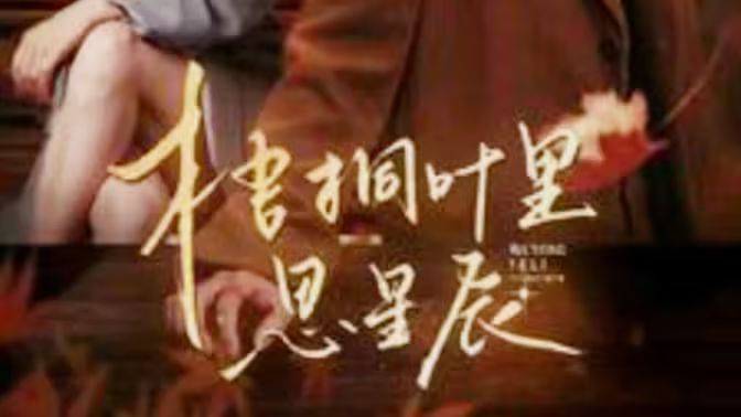 电影:梧桐叶里思星辰