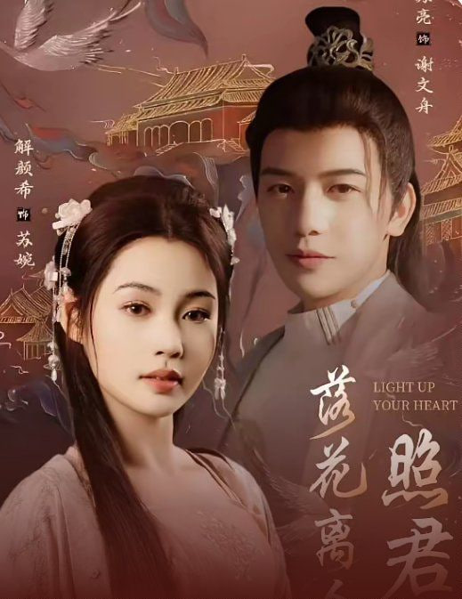 电影:落花离人照君心(嫁给首辅后要风得雨)