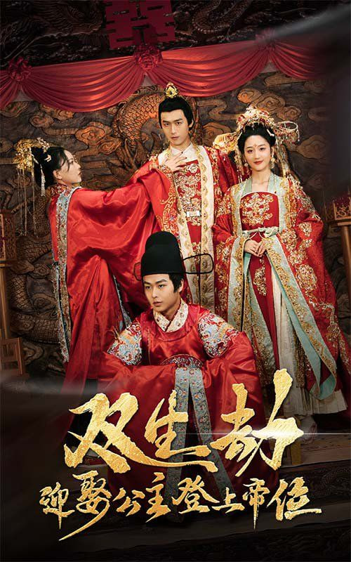 电影：双生劫迎娶公主登上帝位