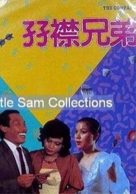 电影：双襟兄弟