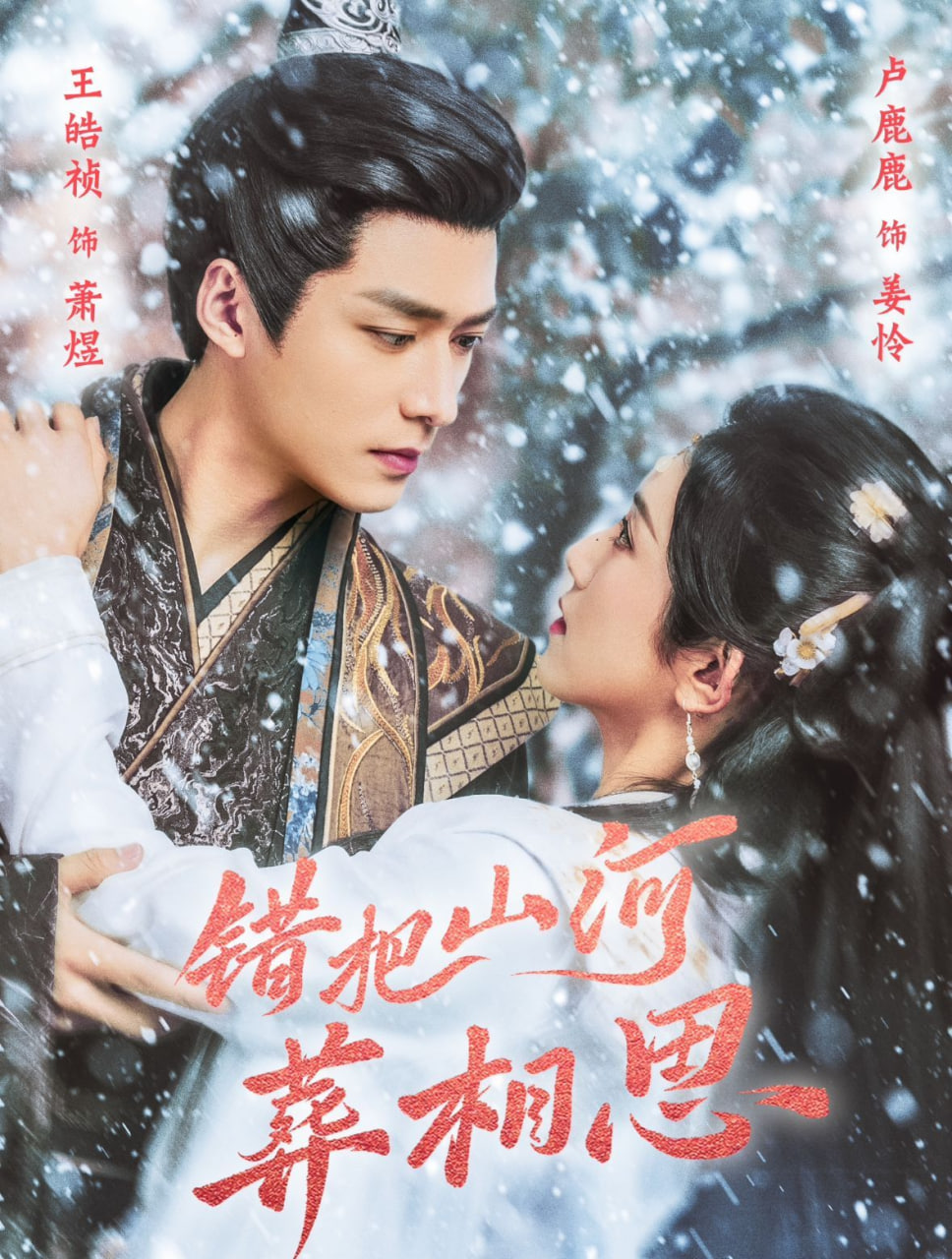 电影：错把山河葬相思