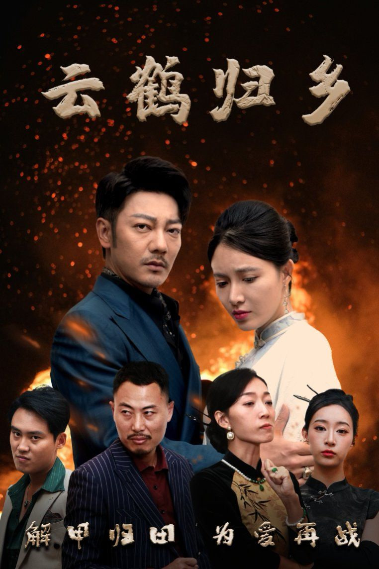 电影：云鹤归乡