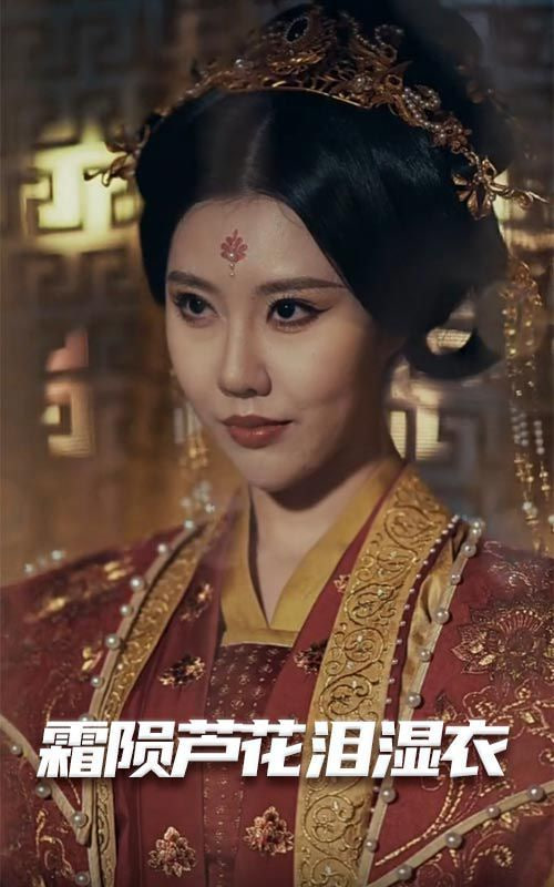 电影：母剑照霜白（霜陨芦花泪湿衣）