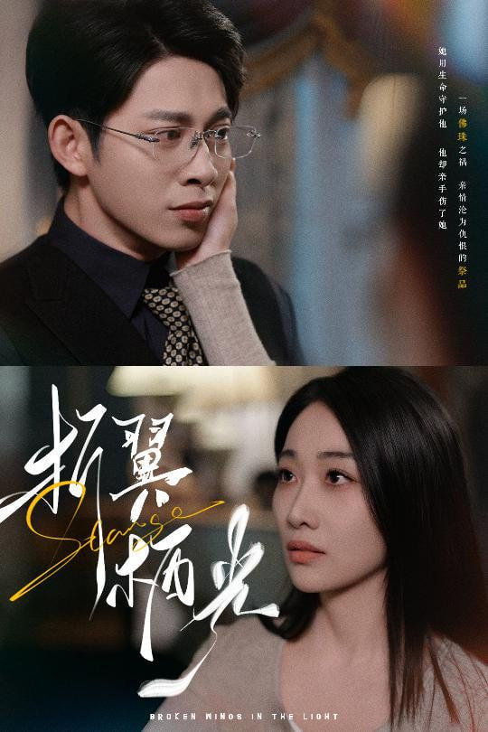 电影：折翼栖光