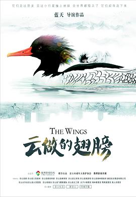 电影：云做的翅膀