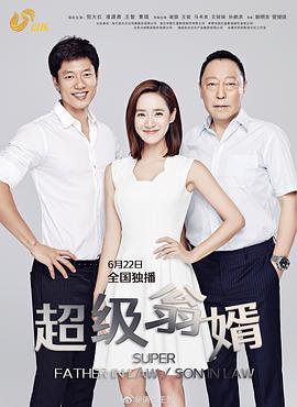电影：超级翁婿