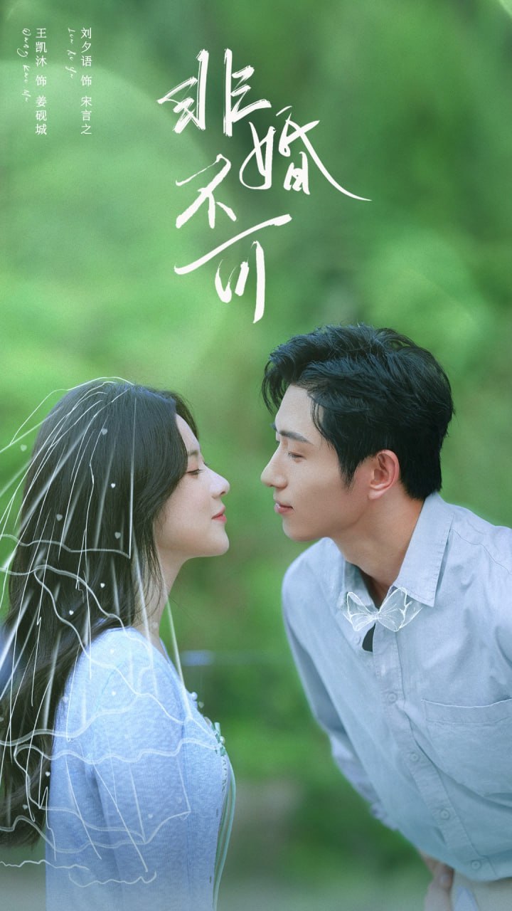 电影：非婚不可