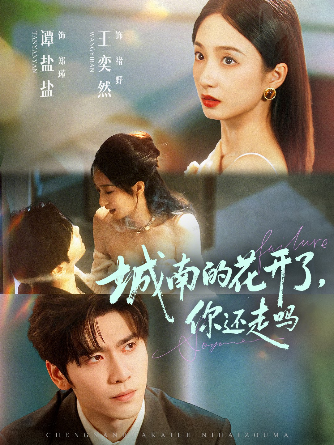 电影：城南的花开了，你还走吗