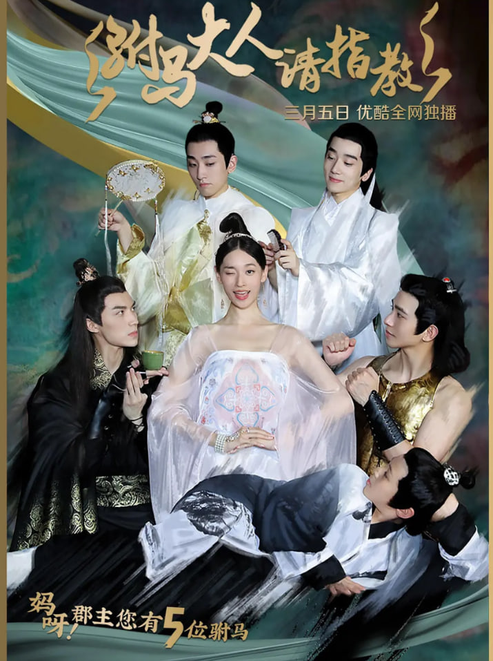 电影：驸马大人请指教