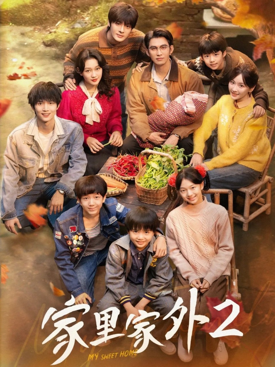 电影：家里家外2