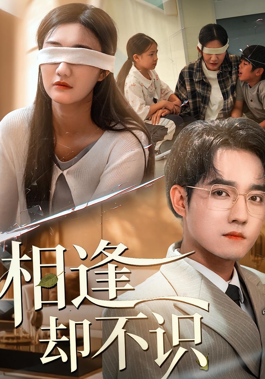 电影:相逢却不识