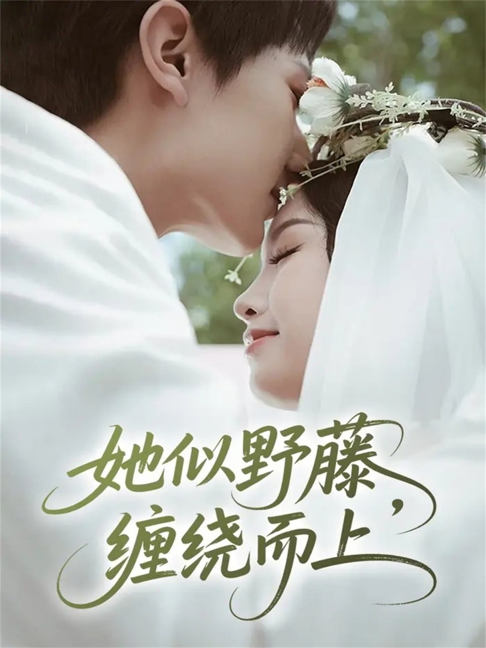 电影:她似野藤,缠绕而上