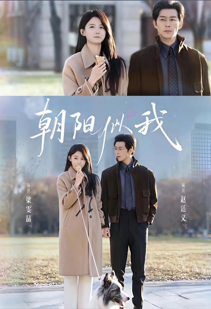 电影：朝阳似我