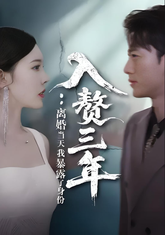 电影：入赘三年：离婚当天我暴露了身份