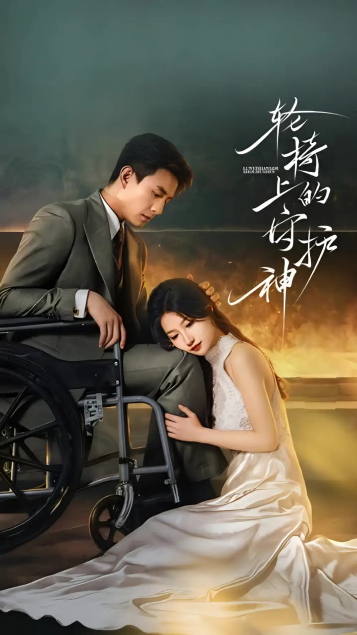 电影：轮椅上的守护神