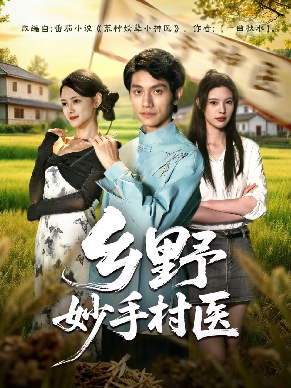 电影：乡野妙手村医