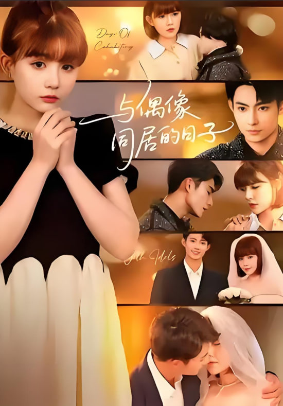 电影：与偶像同居的日子