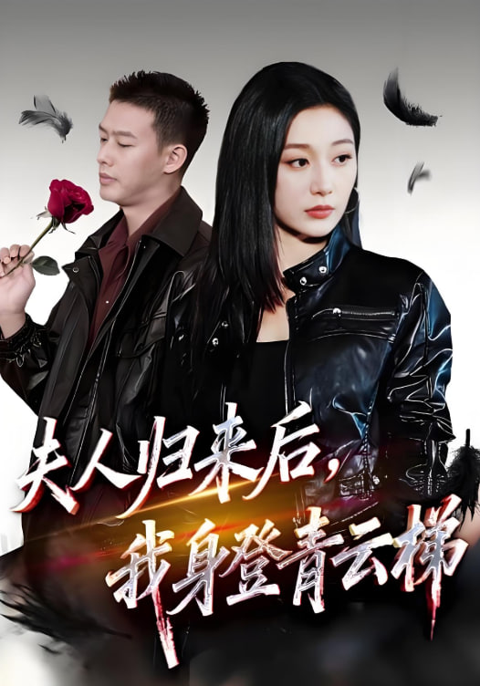 电影：夫人归来后我身登青云梯（夫人助我踏巅峰）