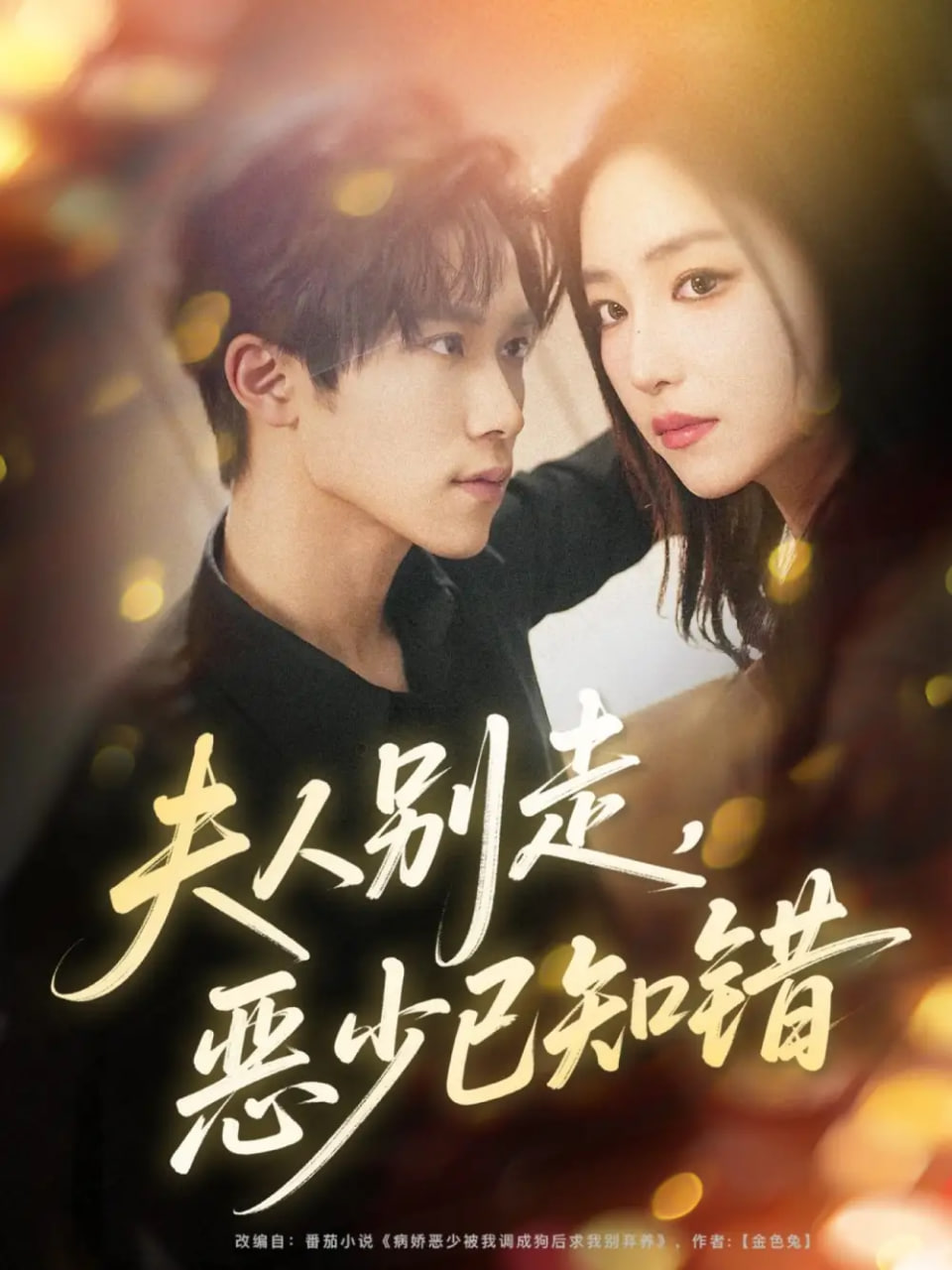 电影：夫人别走恶少已知错