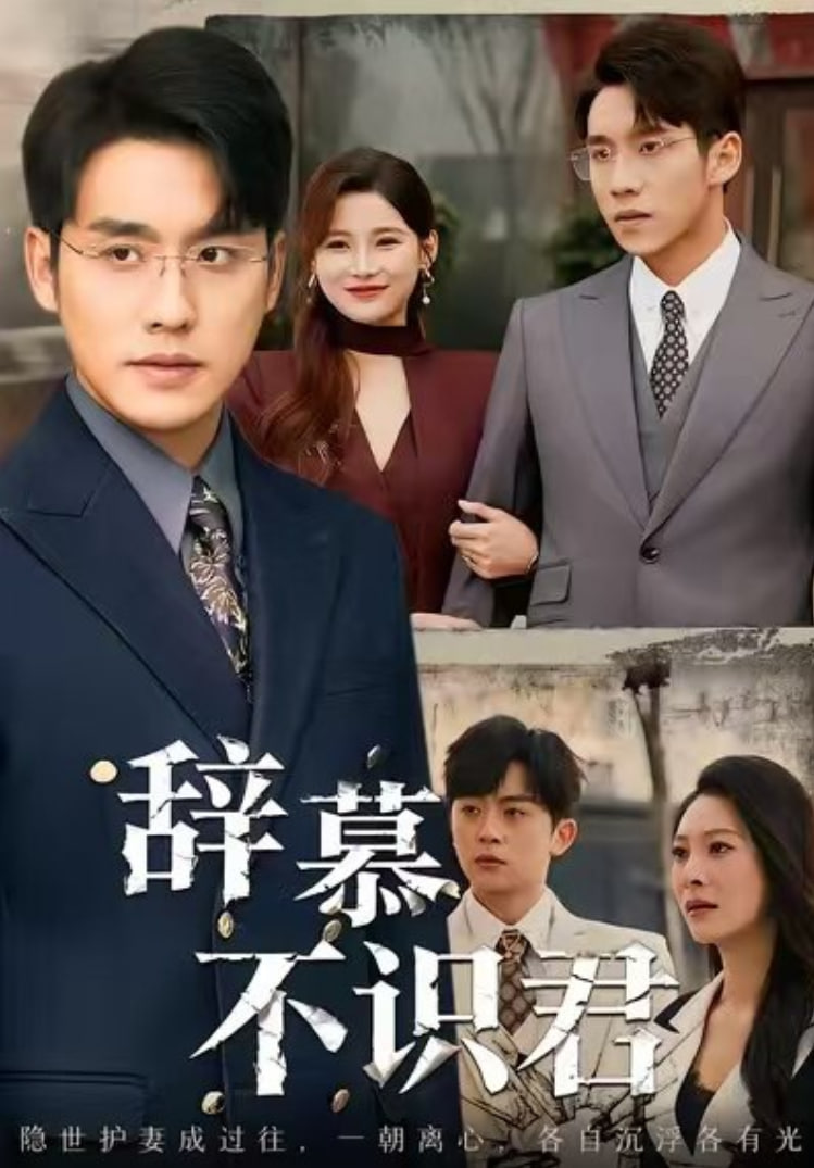 电影：辞慕不识君(七年情深终成侮)