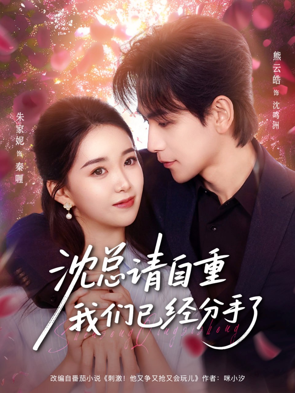 电影：沈总请自重我们已经分手了